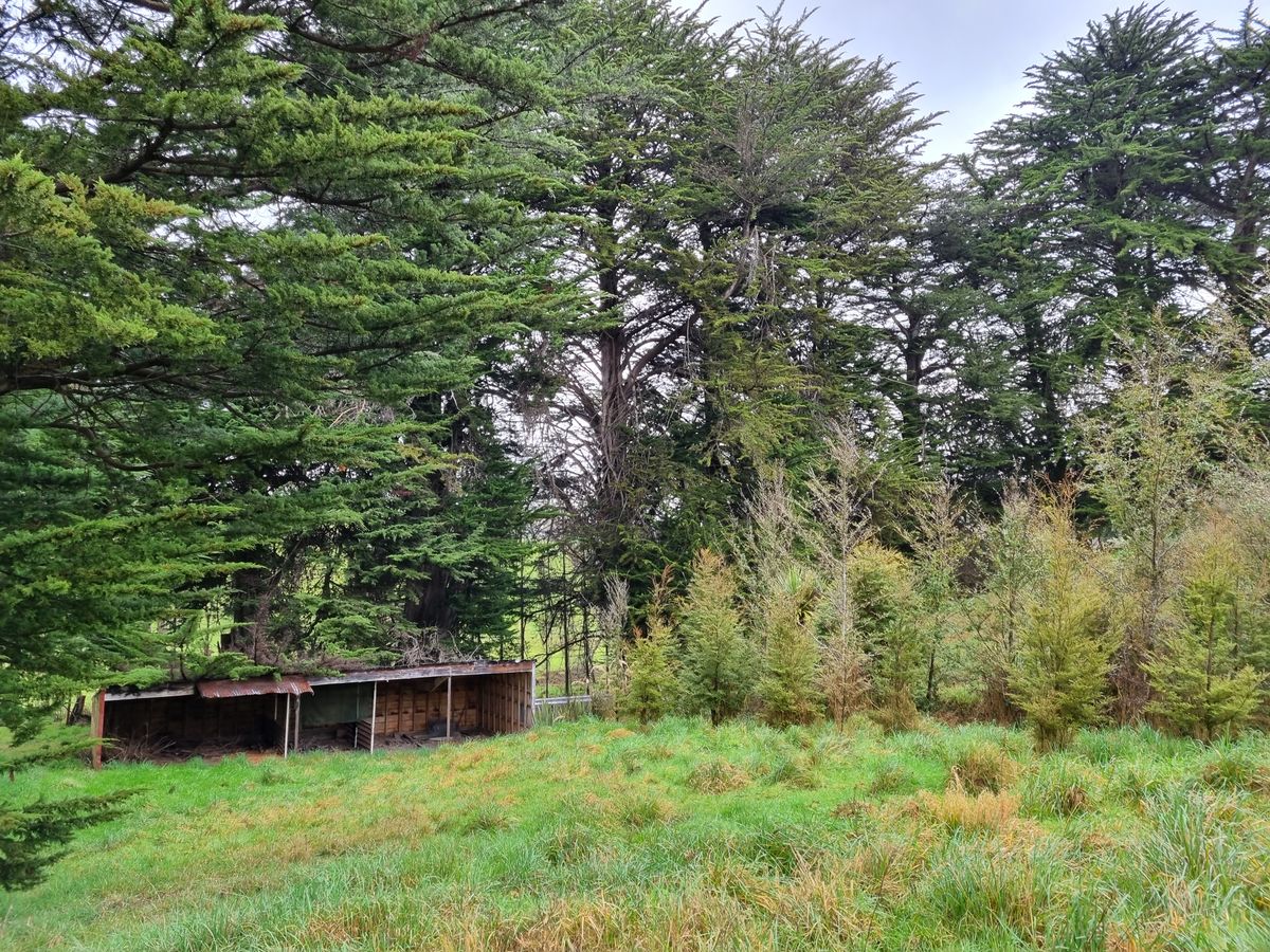 77 Romahapa Road, Romahapa, Clutha, Otago - Photo 3