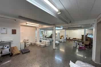 Rare Industrial Parnell Opportunity