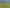 1723 Ponga Road, Hunua