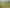 1723 Ponga Road, Hunua