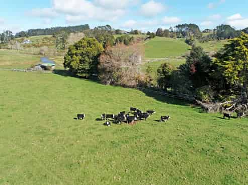 1723 Ponga Road, Hunua