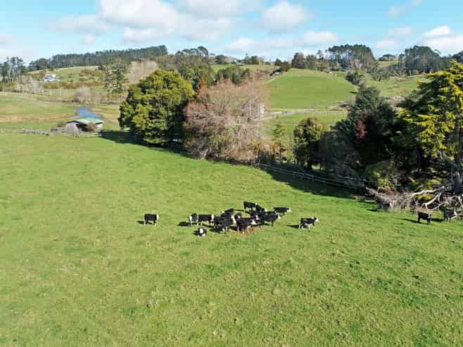 1723 Ponga Road, Hunua
