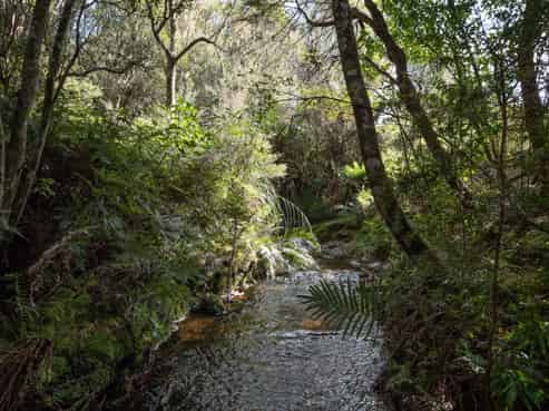 Lot 3/61 Daroux Drive, Kerikeri