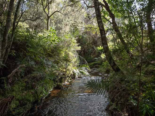 Lot 3/61 Daroux Drive, Kerikeri