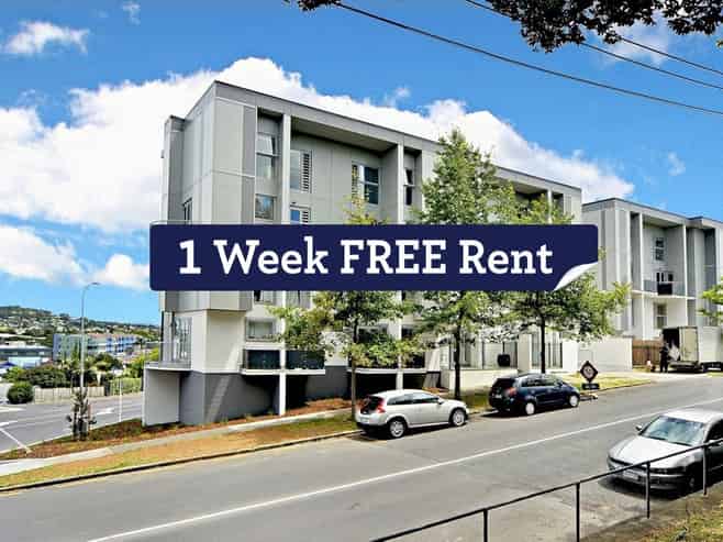 8/595 New North Road, Kingsland