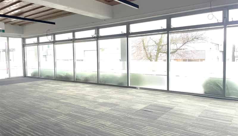  17 Maidstone Street, Grey Lynn