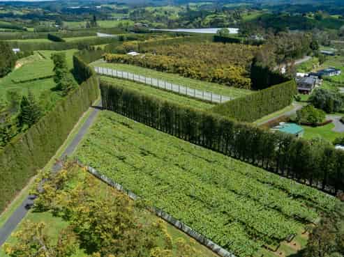 12 Sargent Drive, Whakamarama