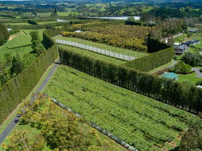 12 Sargent Drive, Whakamarama