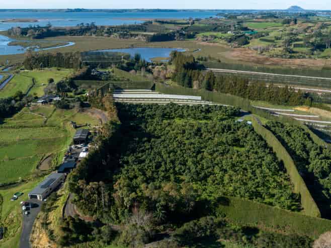 12  Sargent Drive, Whakamarama