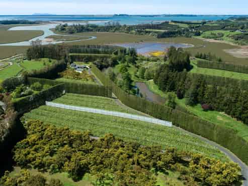 12 Sargent Drive, Whakamarama