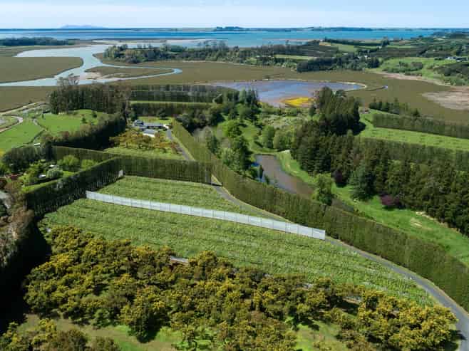 12 Sargent Drive, Whakamarama