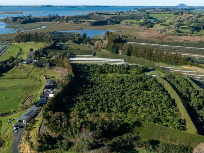 12 Sargent Drive, Whakamarama