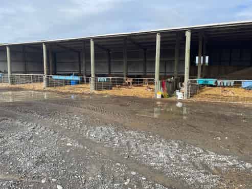560 Forest Road, Parewanui