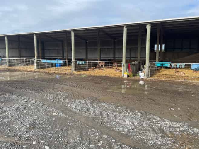 560 Forest Road, Parewanui