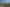 Vinegar Hill Road, Kauri