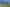 Vinegar Hill Road, Kauri