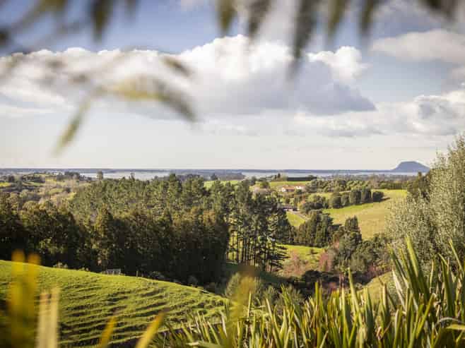 108A Plummer Road, Whakamarama