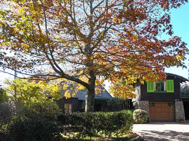 108A Plummer Road, Whakamarama
