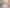 1/2 Quetta Street, Ngaio