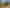 Development gold – Queenstown Central