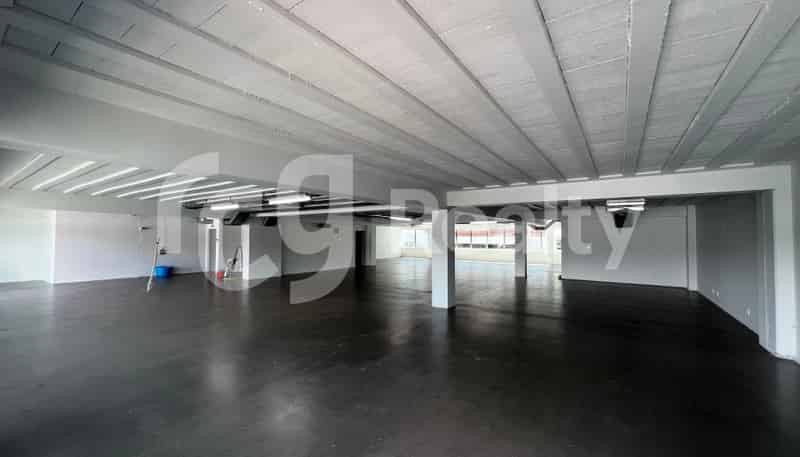 8-10 Falcon Street, Parnell
