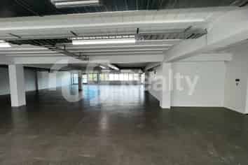 Rare Parnell Warehouse/Office | 418sqm