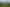 Lot1/ Waiare Road, Okaihau