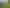Lot1/ Waiare Road, Okaihau