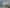 3D/13 Miles Avenue, Papatoetoe