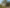 1/60 Akatarawa Road, Brown Owl