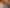 Waikato - Address withheld