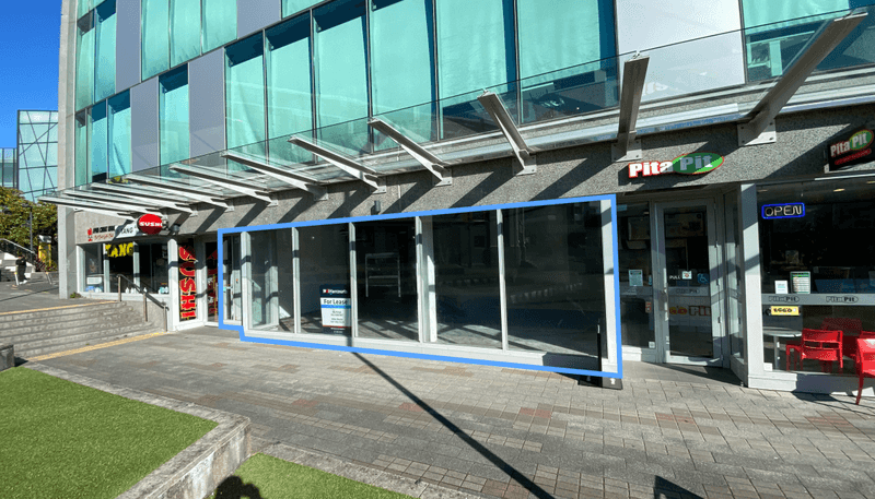 109 Ward Street, Hamilton Central