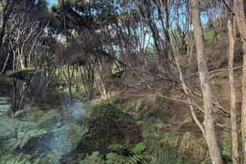 97 Medland Road, Great Barrier Island