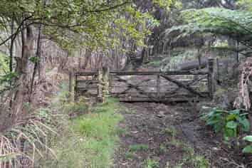 97 Medland Road, Great Barrier Island