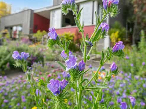 56a Kaipara Coast Highway, Helensville