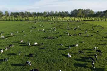 1599 Hundred Line Road East, Winton