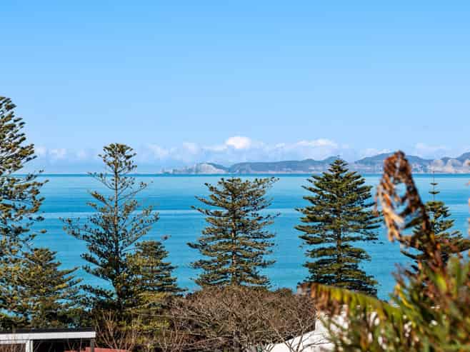 16 Brewster Street, Bluff Hill