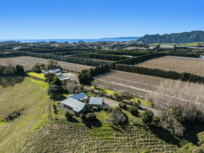 306 Tablelands Road, Tirohanga