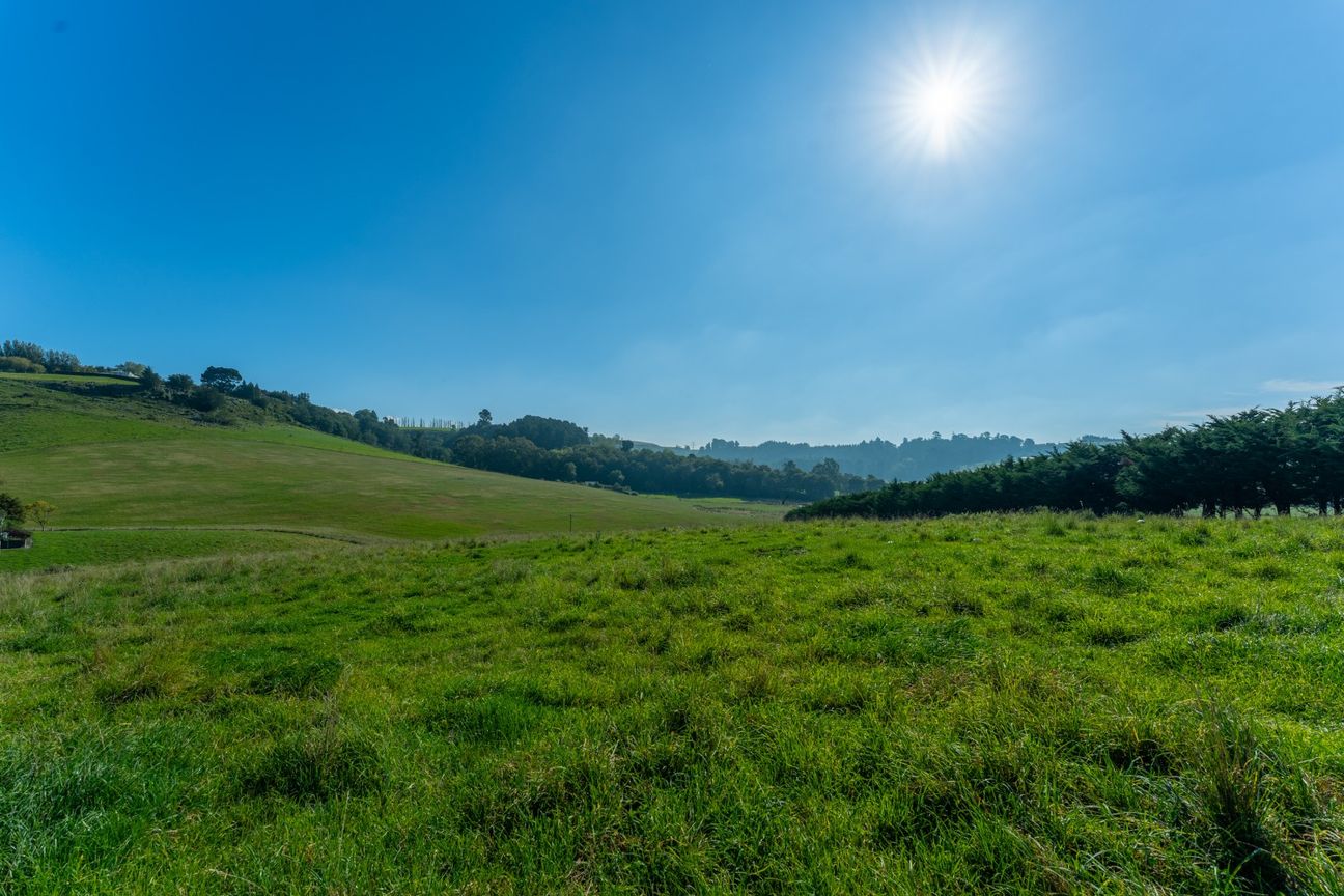 Valley Views, Space & Serenity – 1.5ha - Act NOW - Widok 3