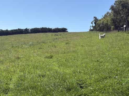  Oakwood Road, Hadlow