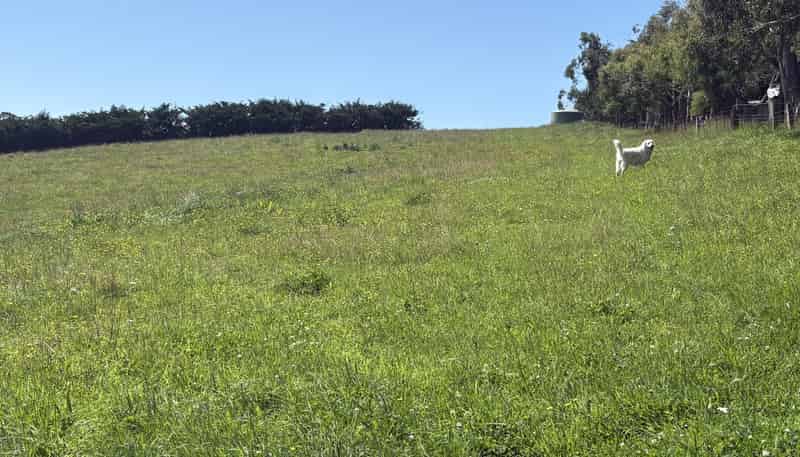  Oakwood Road, Hadlow