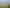 89 Half Mile Road, Tuatapere