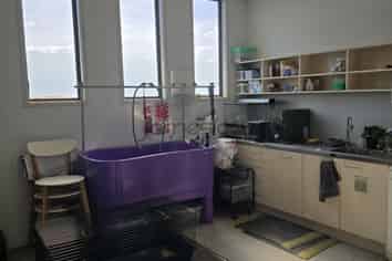 HUAPAI Main Road Retail Corner Unit 170m2 