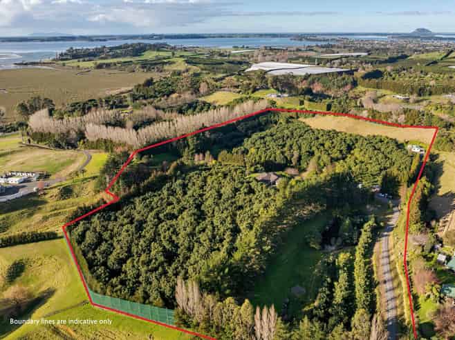 85C Turntable Hill Road, Whakamarama