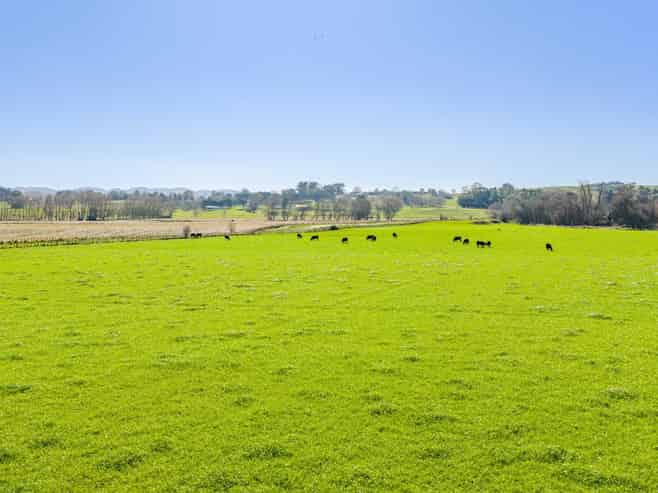 295 Tapairu Road, Waipawa