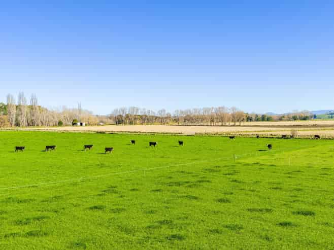 295 Tapairu Road, Waipawa