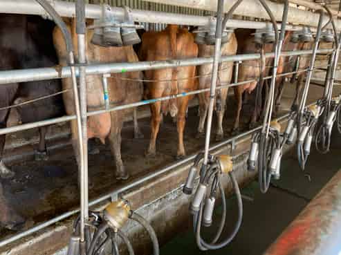 1480  State Highway 1, Glen Oroua