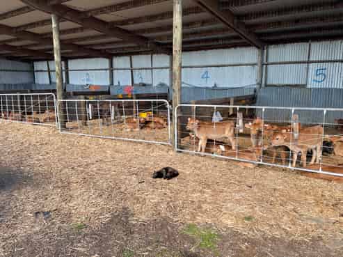 1480  State Highway 1, Glen Oroua