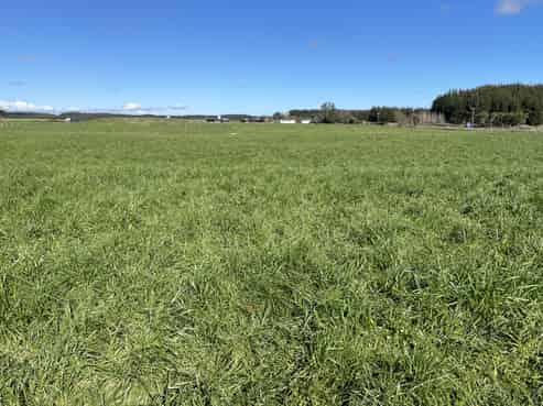 1480  State Highway 1, Glen Oroua