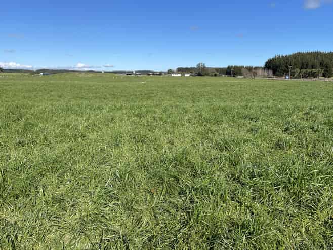 1480  State Highway 1, Glen Oroua